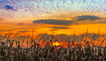 Knapp Miller Brown Farm and Crop Insurance